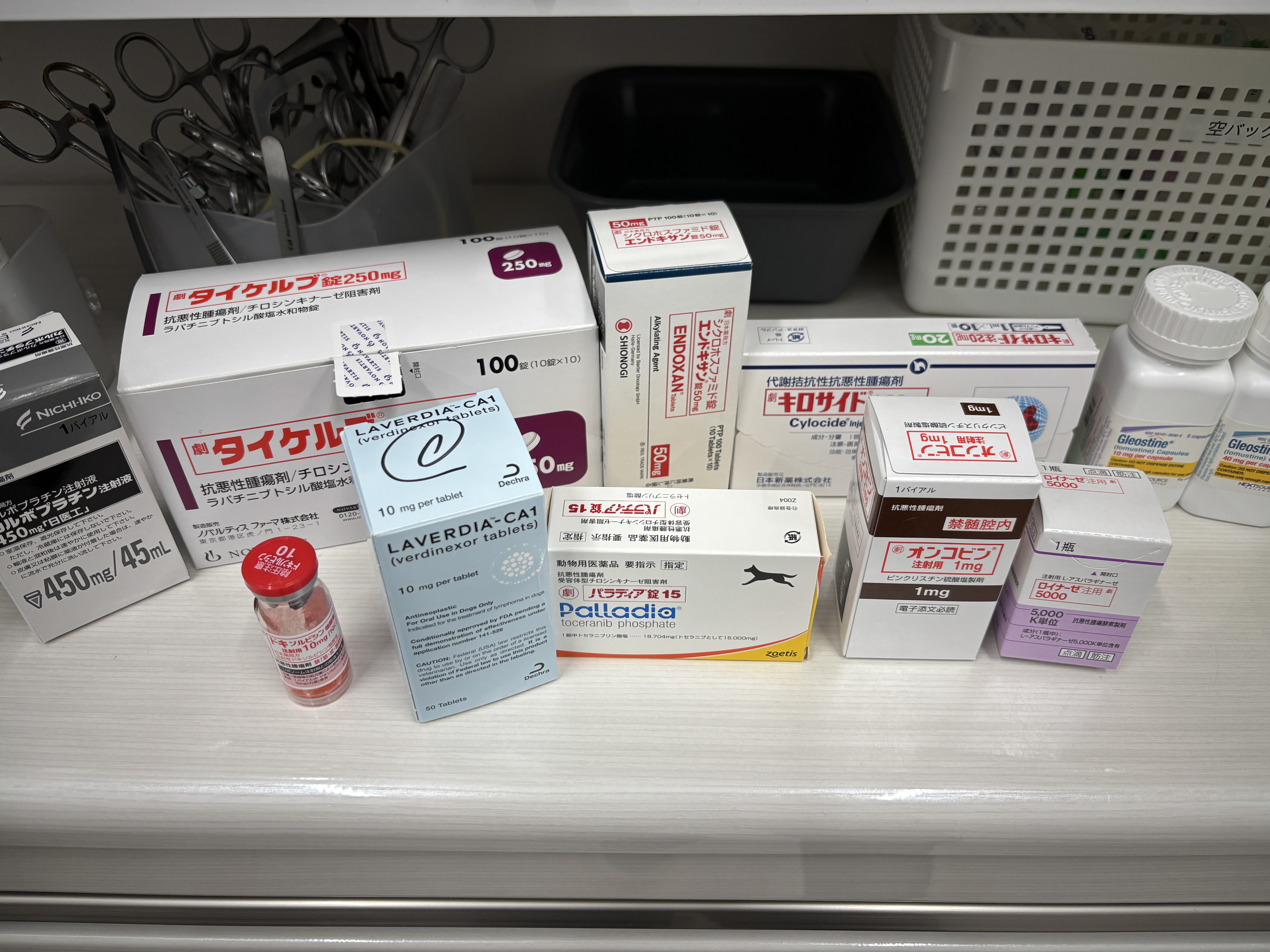 猫のリンパ腫 抗癌剤治療 CHOP・COP・L-CHOP - 登戸動物医療センター